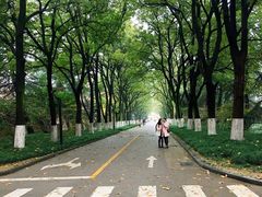 -安徽大学(龙河校区)