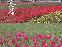 -大宁公园