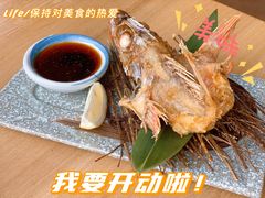 -菊上尊品料理(八佰伴中心店)