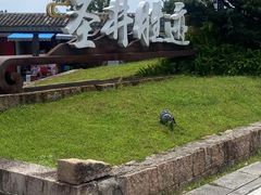 -瑞安圣井山景区