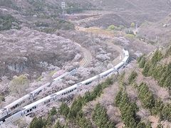 -居庸关长城