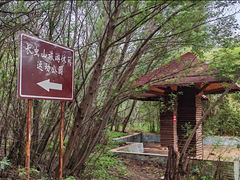 -长虫山生态公园风景林