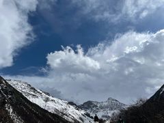 -黄龙山原始森林景区