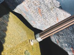 -几荷·恰似故人来(秀水广场店)