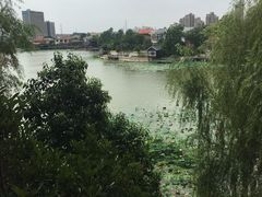 -开封开元名都大酒店·可泰自助餐厅