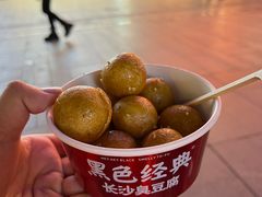 -黑色经典臭豆腐·湖南特产(潇湘文化店)