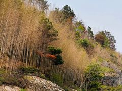 -崀山风景名胜区