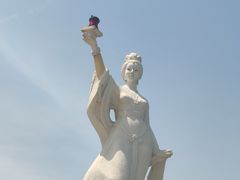 -长岛万鸟岛
