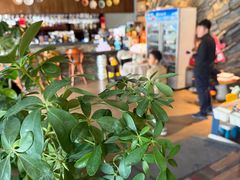 -ITA·意塔意大利餐厅(亦庄店)