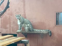 -青藏高原野生动物园