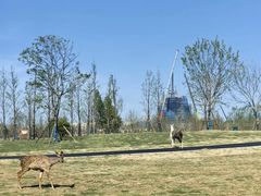 -宿豫区运河湾森林动物园