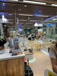 -小象动悟公园(龙湖亦庄天街店)