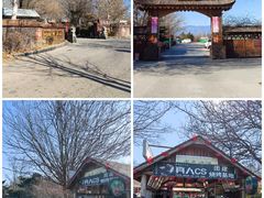 -尚庄度假村·庭台树下·户外烧烤·团建CS·轰趴营地(上庄水库店)