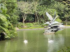 -新加坡植物园