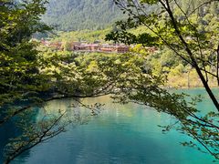 -九寨沟-树正沟