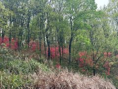 -花亭湖风景名胜区