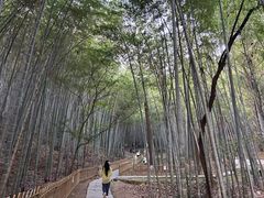 -敬亭山风景名胜区