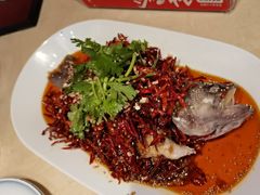 -杨氏青龙虾·羊蝎子(珠江路店)
