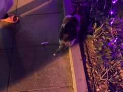 -Iapm环贸地下车库