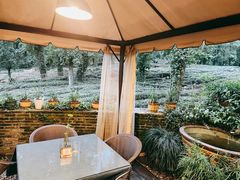 -野蔓果·山野菜(西湖景区·龙井茶田店)