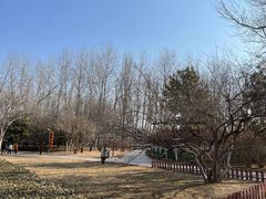 -仁和公园(顺义区)