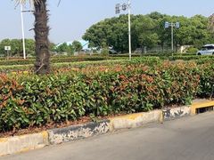 -无忧学车·华茂基地(宝山校区)
