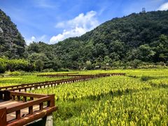 -高荡千年布依古寨旅游景区