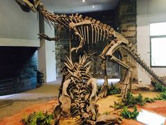 -自贡恐龙博物馆