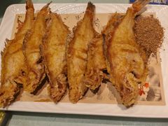 -北李·海肠捞饭·大连菜(望京凯德MALL店)