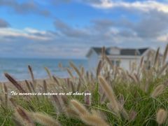 -青岛石老人海水浴场