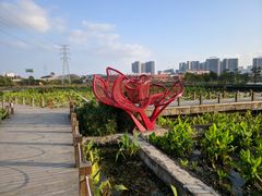 -那考河湿地公园