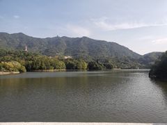 -深圳仙湖植物园