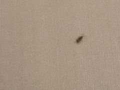 -海友酒店(上海静安寺店)