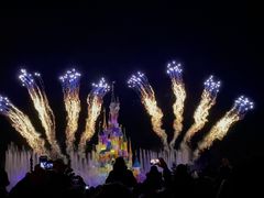 -巴黎迪士尼乐园