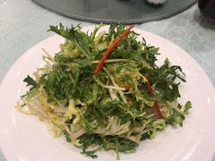 凉拌苦菊-亢龙太子酒轩(东湖店)