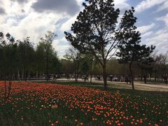 -长春公园(普阳街道)