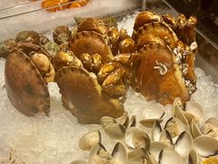 -尼依格罗香港美利酒店