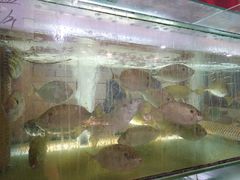 -金生美食(贵州路店)