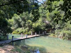 -广州白江湖森林公园