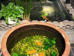 -瓦舍茶馆(聚源路店)