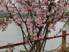 -黄兴公园