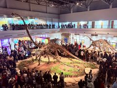 -自贡恐龙博物馆