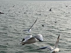 -蠡湖大桥公园