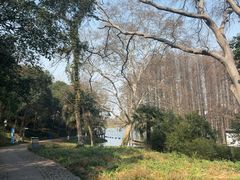 -采石矶景区