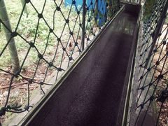 android_upload_pic-众神白水涧景区