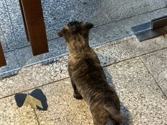 -谷咖啡·鲜花绿植花园餐厅