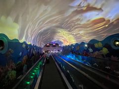 -海合安成都极地海洋公园