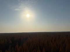 -黄海国家森林公园