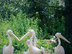 -云南野生动物园