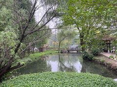 -溱湖国家湿地公园